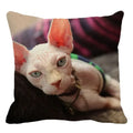 Cute Axyaa Sphinx Cat Cushion Cover 45X45cm - Home Sofa Decoration Pillowcase