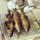 Axya Far-Infrared Ceramic Grill for Japanese Barbecue and Direct Fire Cooking