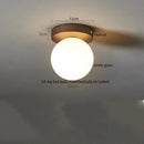 Axyaa Modern LED Ceiling Light Fixture Iron Glass Nordic Lamp.