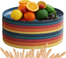 Axyaa Green Wheat Straw Plate Set of 6