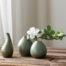 Ceramic Vase Decoration for Living Room, Dining Table - Axyaa