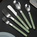 Axyaa Stainless Steel Cutlery Set with ABS Handle - 5pcs Flatware Set