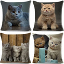 Axyaa Fold Ear Cat Pillow Covers - Set of 2 Cute Pet Pillowcases