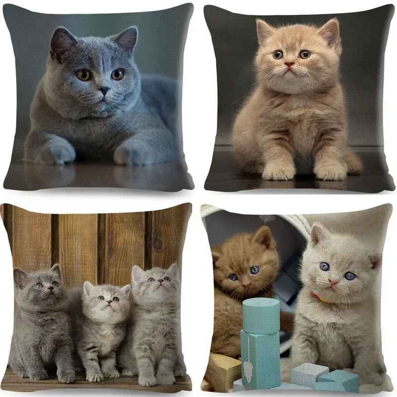 Axyaa Fold Ear Cat Pillow Covers - Set of 2 Cute Pet Pillowcases
