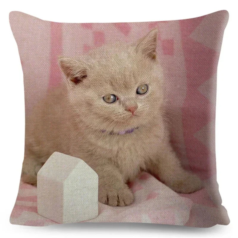 Axyaa Fold Ear Cat Pillow Covers - Set of 2 Cute Pet Pillowcases