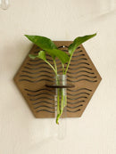 Axyaa Wood Wall Vase Green Plant Holder Home Decor Bouquet Tube Orb Decor