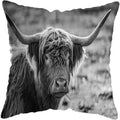 Axyaa Nordic Yak Oxen Highland Cow Cushion Cover for Home Hotel Sofa Bed