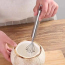 Axyaa Stainless Steel Coconut Grater Fish Scale Planer Kitchen Tool