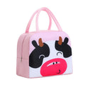 Cute Axyaa Kids Lunch Bag • Insulated Aluminum • Outdoor Picnic Food Storage Bag