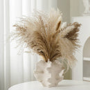 Axyaa Ceramic Coral Vase - Minimalist Nordic White Decor for Home & Office