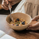 Axyaa Japanese Ceramic Rice Bowl Set