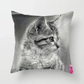 Axyaa Cute Cat Animal Pillowcase for Sofa Decoration in Living Room