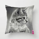 Axyaa Cute Cat Animal Pillowcase for Sofa Decoration in Living Room
