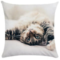 Axyaa Black Cat Bubble Pillow Cases - Premium Animal Cushion Cover for Home Decor
