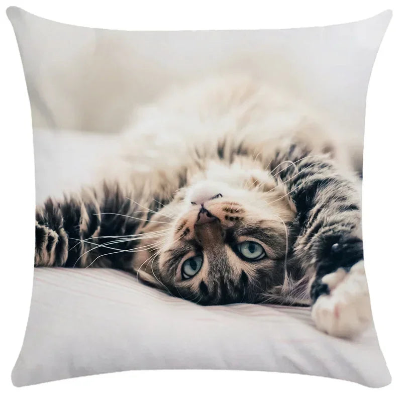 Axyaa Black Cat Bubble Pillow Cases - Premium Animal Cushion Cover for Home Decor
