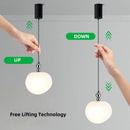 Axyaa Nordic Chrome Pendant Lights Modern Indoor LED Lighting Bar Globe
