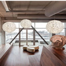 Axyaa Oval Ball LED Pendant Light for Modern Home Decor.