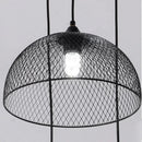 Axyaa Modern Indoor Ceiling Chandelier LED Pendant Lights for Living Room