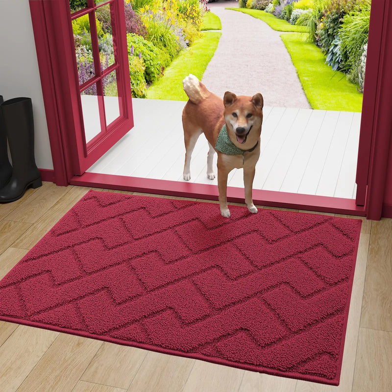 Axyaa Front Entry Indoor Doormat - Washable Non-Slip Absorbent Resist Dirt Mat