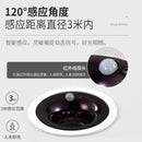 Axyaa PIR Motion Sensor Spotlight COB Downlight for Indoor Lighting