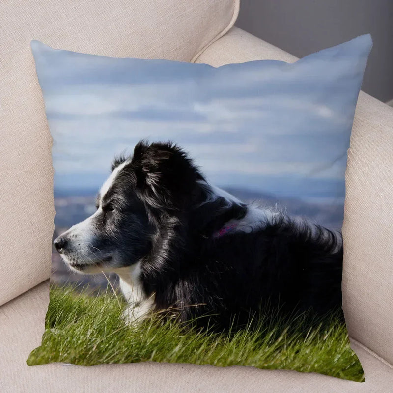 Scottish Border Collie Pillowcase - Axyaa Dog Print Decor Cushion Cover