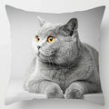 Axyaa Cute Cat Hug Pillowcase Interactive Cushion for Home Sofa Decor
