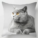Axyaa Cute Cat Hug Pillowcase Interactive Cushion for Home Sofa Decor