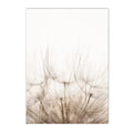 Axyaa Beige Dandelion Starfish Wall Art Print for Nordic Living Room Decor