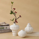Ceramic White Vase for Home Decor by Axyaa