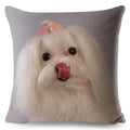 Maltese Dog Pillow Cover by Axyaa - Decorative Cushion Case for Home and Car