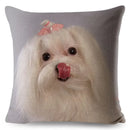 Maltese Dog Pillow Cover by Axyaa - Decorative Cushion Case for Home and Car