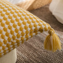 Axyaa Knitted Tassel Cushion Cover in Blue Orange Mustard Yellow Grey Ivory