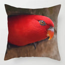 Colorful Parrots Decorative Cushion Cover by Axyaa - 45x45cm