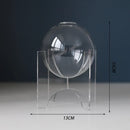 Axyaa Acrylic Spherical Vase for Minimalist Table Decoration and Aesthetic Room Decor