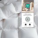 Axyaa King Size Cotton Comforter, Hypoallergenic Goose Down Blend, Hotel Luxury Duvet Insert