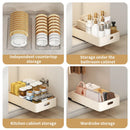 Axyaa Kitchen Sliding Dish Rack Drawer Bowl Storage Shelf with Rail
