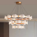 Axyaa LED Chandelier Lighting for Living Room Bedroom Dining Salon Indoor Decor