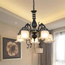Axyaa Glass Shade Chandelier for Home Decor Lighting