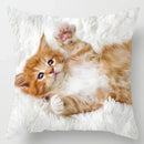 Axyaa Cute Cat Hug Pillowcase Interactive Cushion for Home Sofa Decor