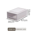 Axyaa Closet Storage Bin with Lid - Desktop Organizer for Clothes, Underwear, Socks