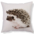 Axyaa Lovely Little Hedgehog Design Cushion Cover for 45*45cm Sofa Pillow