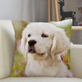 Axyaa Golden Retriever Dog Sofa Pillowcase for home decor