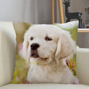 Axyaa Golden Retriever Dog Sofa Pillowcase for home decor