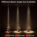 Axyaa LED Recessed Ceiling Downlights for Cabinet Display, Bedroom, Hallway, Foyer Spotlight