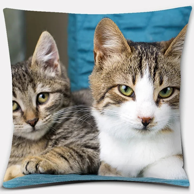 Cute Cat Series Pillowcase for Home Decor by Axyaa