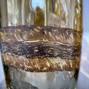 Axyaa Glass Vase: Elegant Living Room Decor & Flower Arrangement