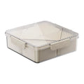 Axyaa Portable Fruit & Snack Storage Box: Home Living Room Refrigerator Sealed Bento Box
