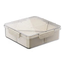 Axyaa Portable Fruit & Snack Storage Box: Home Living Room Refrigerator Sealed Bento Box