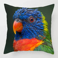 Colorful Parrots Decorative Cushion Cover by Axyaa - 45x45cm