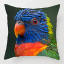 Colorful Parrots Decorative Cushion Cover by Axyaa - 45x45cm